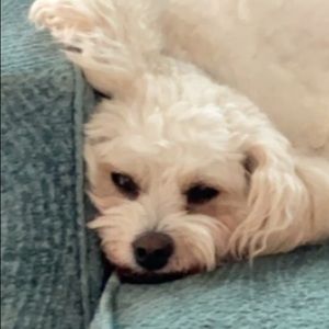 Meet your Posher, Caitlin